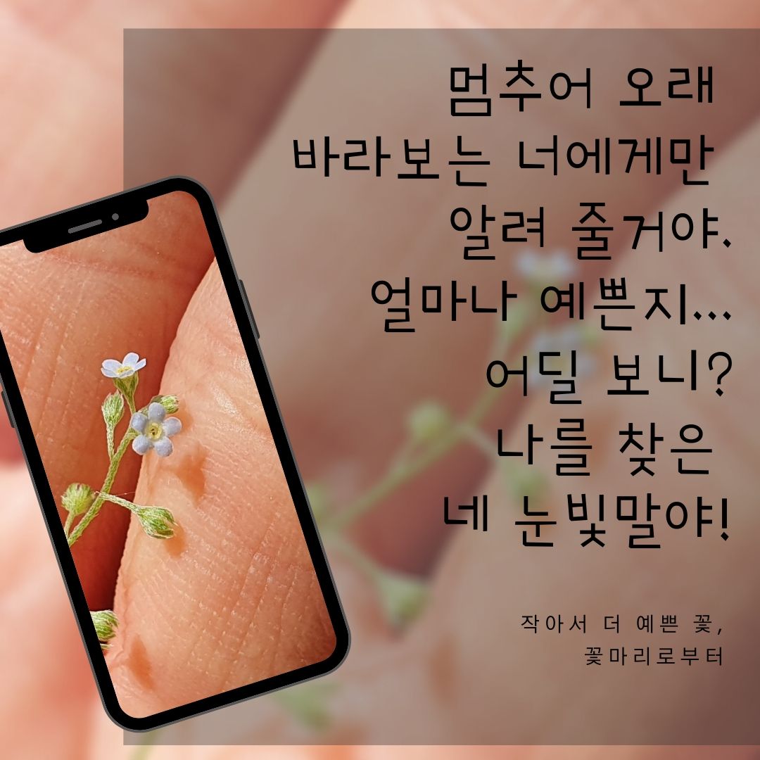 4. 프레임 활용 썸네일.jpg