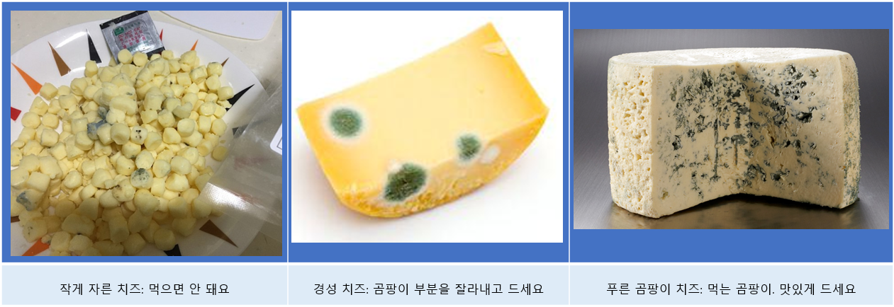 Cheese with mold_all.png