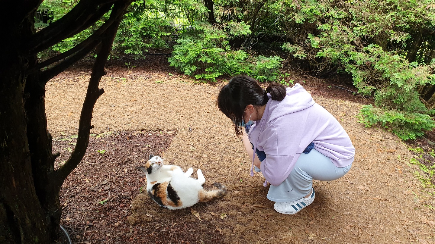 고양이.jpg