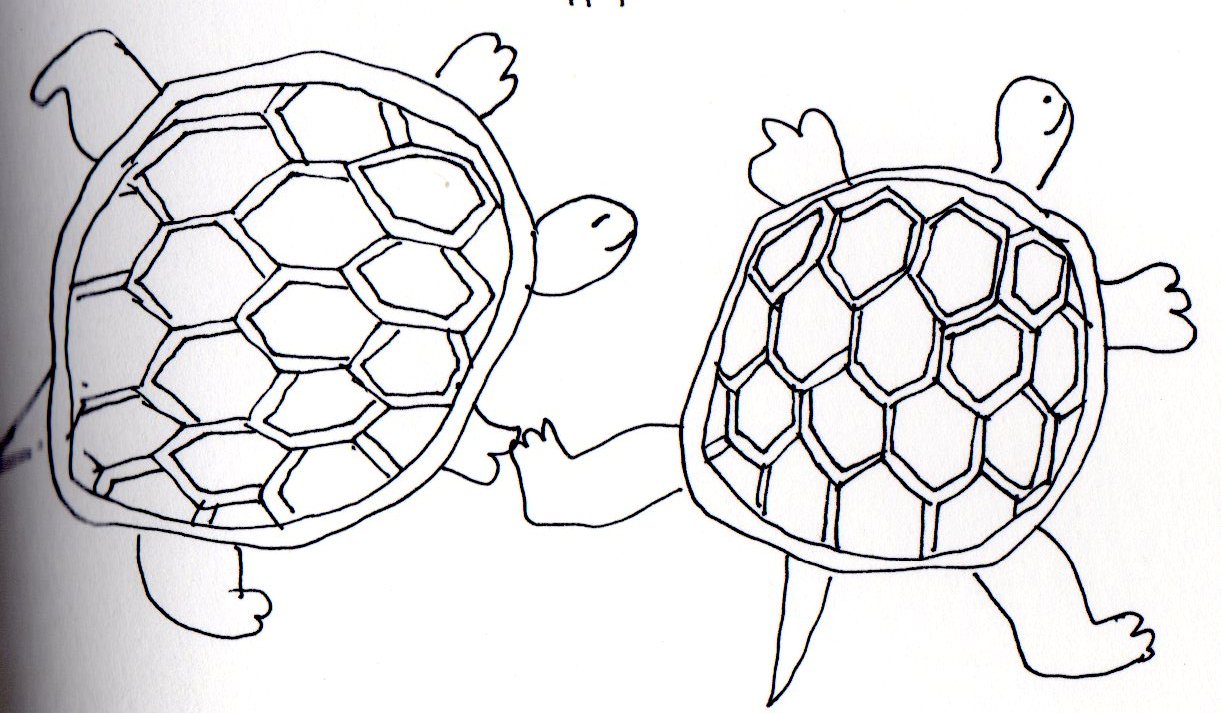 거북이116.jpg