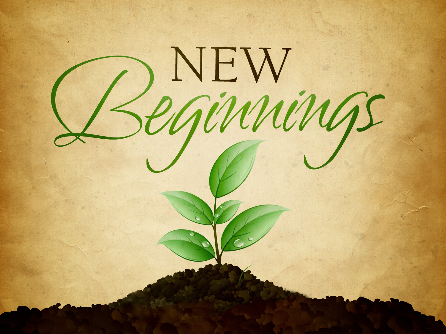 begin.jpg