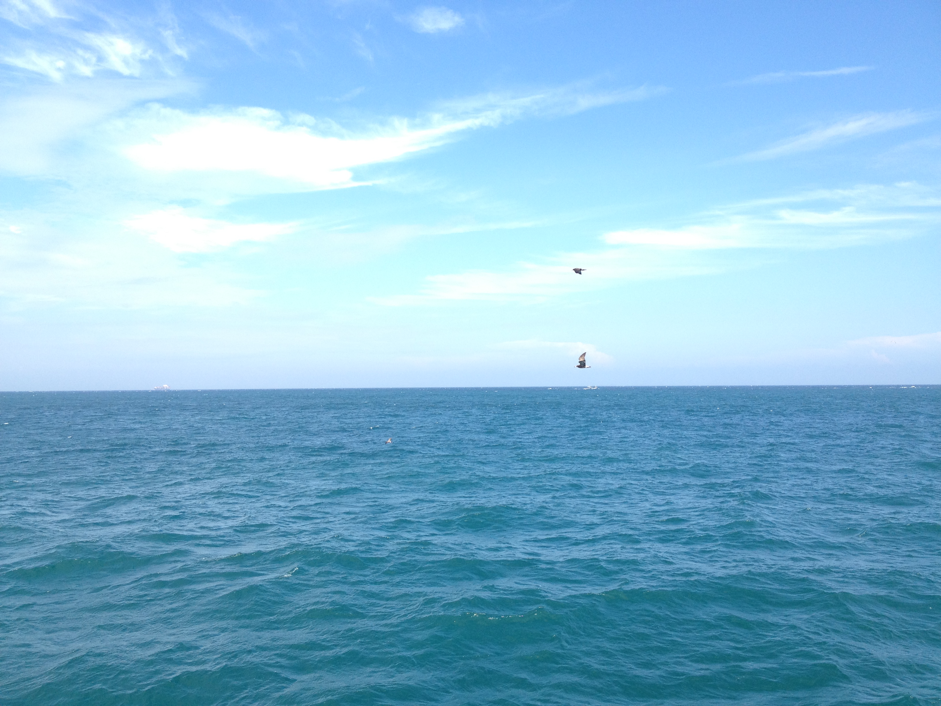 IMG_0706.JPG