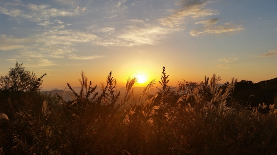 억세2.jpg