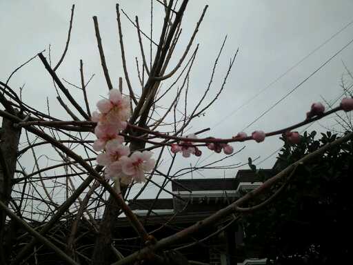 20140304_154948.jpg