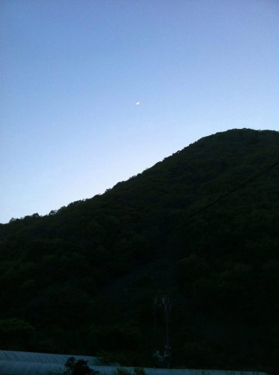 반달.jpg