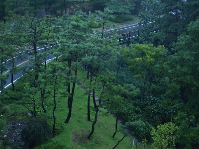 P9201866.JPG