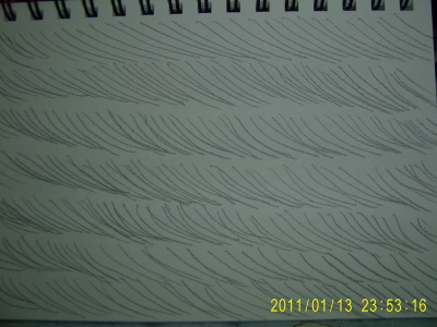 20110113-1-s.JPG 20110113-1-s.JPG