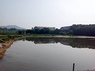 모란지.jpg