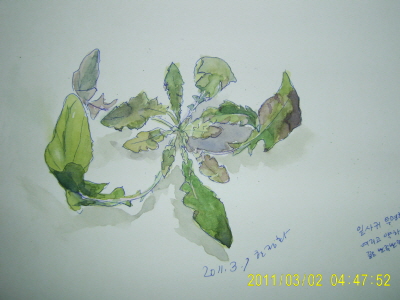 s-20110301-14.JPG