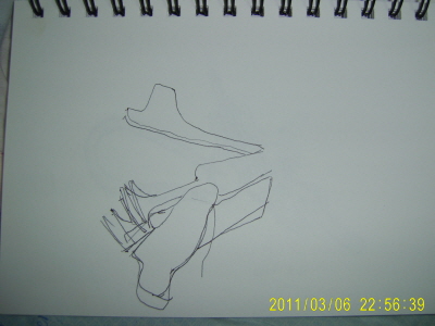 s-20110306-1.JPG