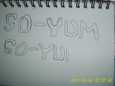 s-20110306-4.JPG