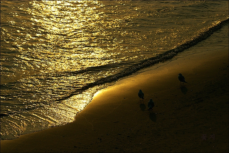 저녁.jpg 저녁.jpg
