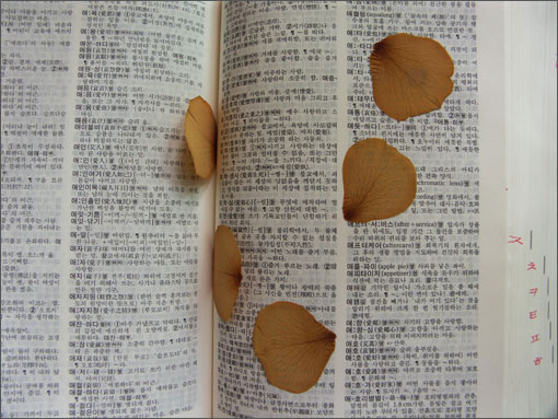 기억해줘.jpg