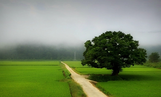 201116.jpg 201116.jpg