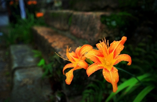 201113.jpg
