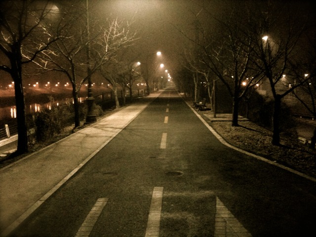 110206_01.jpg 110206_01.jpg