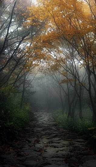 새벽길.jpg 새벽길.jpg