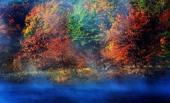 201119.jpg 201119.jpg