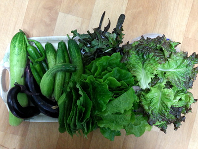 20130623_074555.jpg