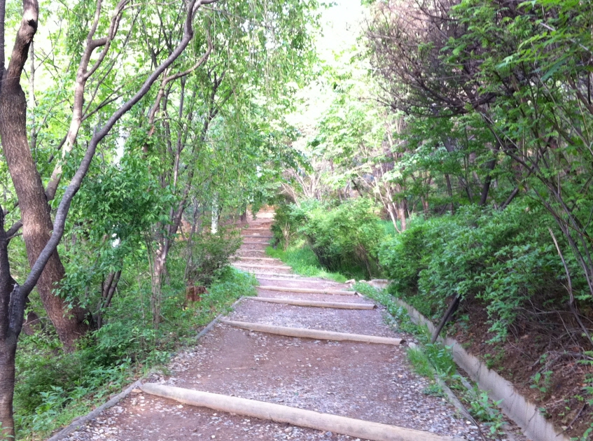 크기변환_1105136.jpg