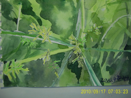 20100917-2.JPG