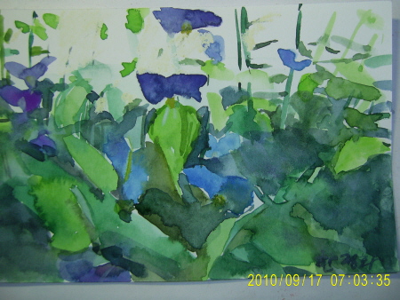 20100917-3.JPG