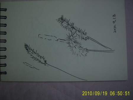 20100919-1.JPG