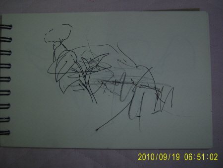 20100919-2.JPG