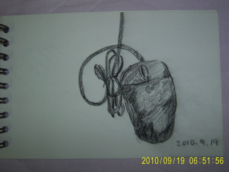 20100919-4.JPG