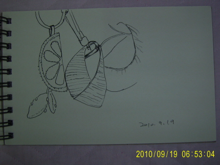 20100919-8.JPG