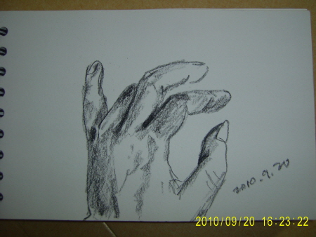 20100920-7.JPG