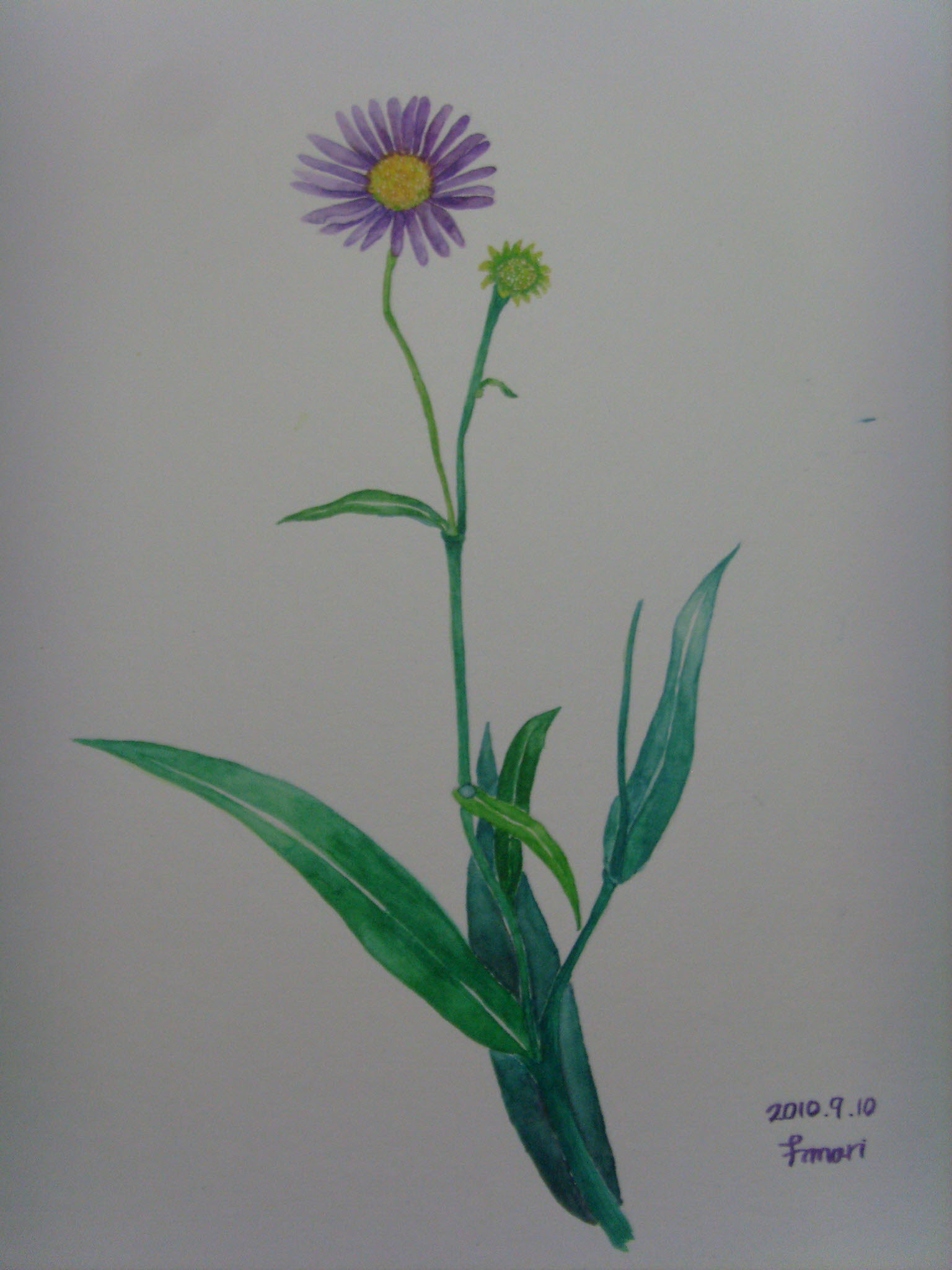 SI854040.JPG