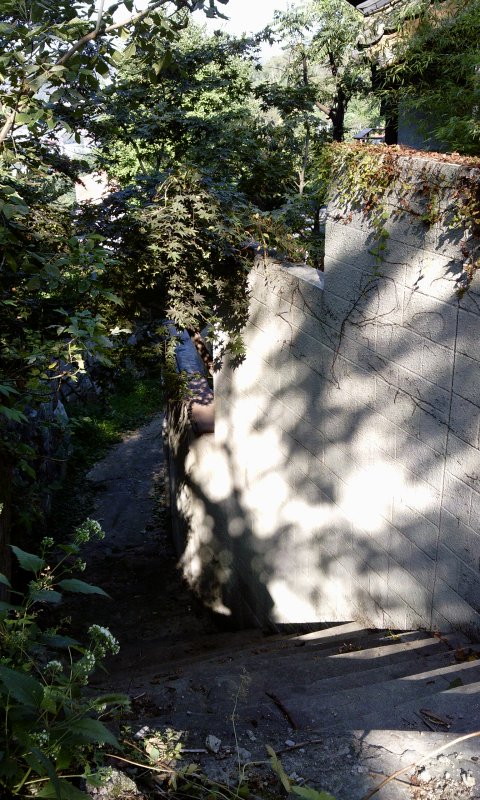 cycameraimage(87).jpg