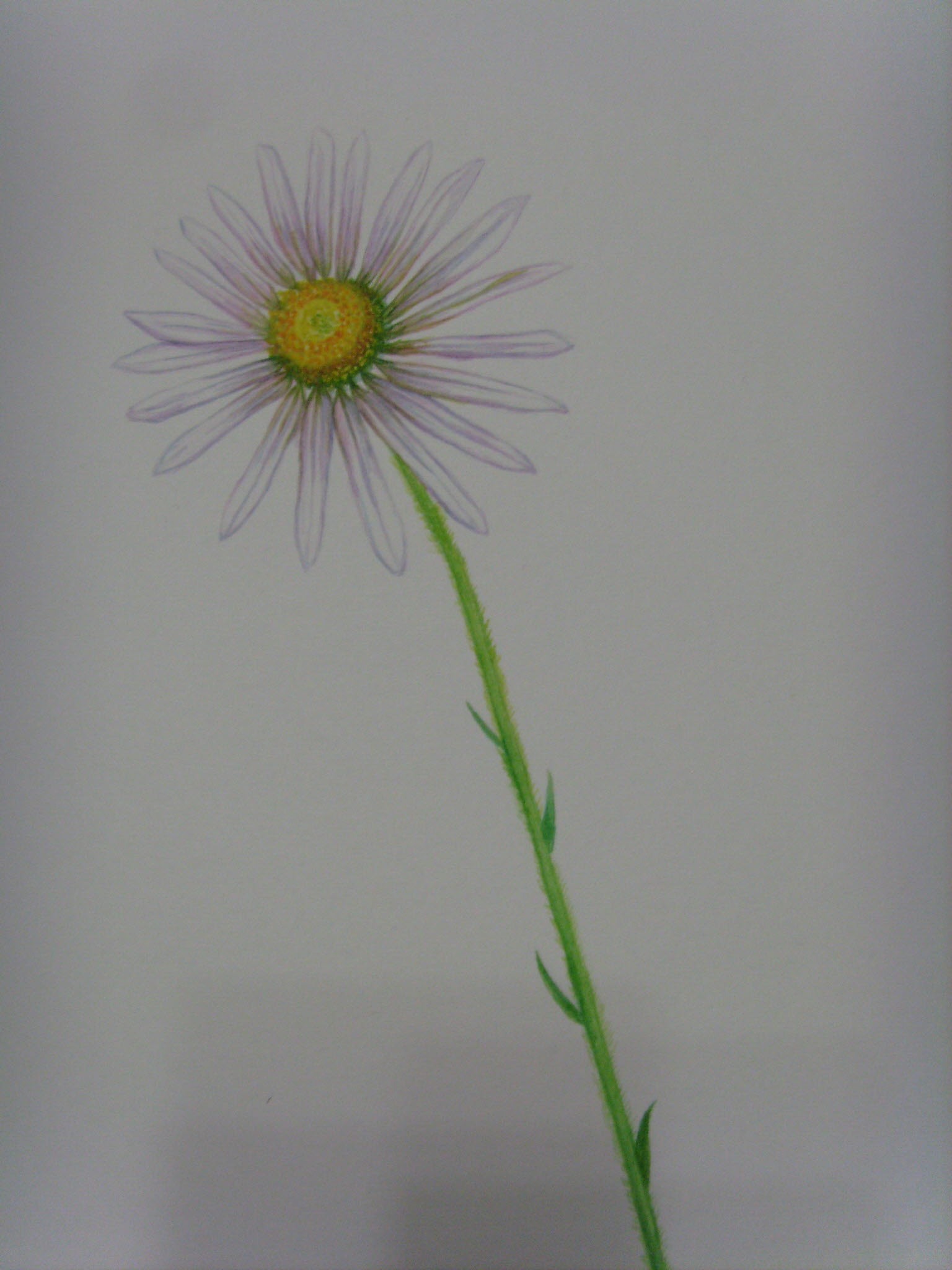 SI854383.JPG