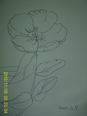 20101107-2-s.JPG