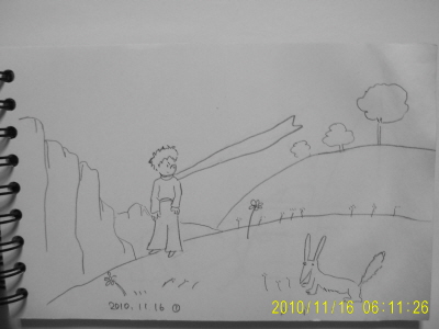 20101116-1-s.JPG