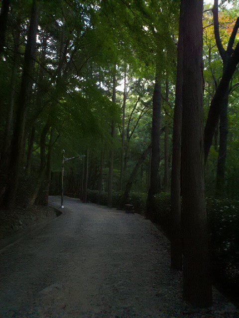 2010-09-24_17-53-43_550.jpg