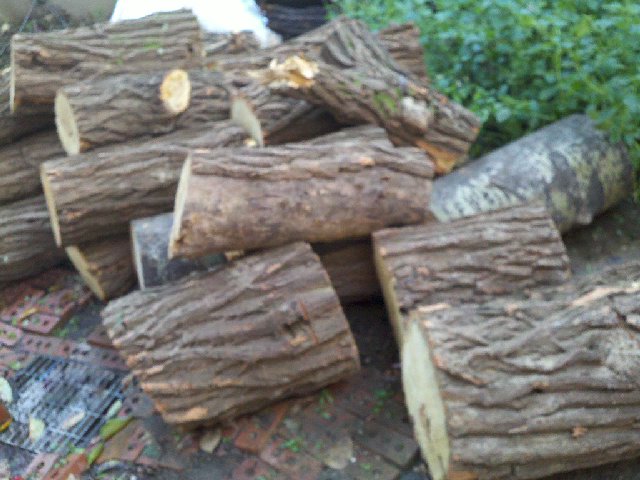 2010-10-04_12-27-29_23.jpg