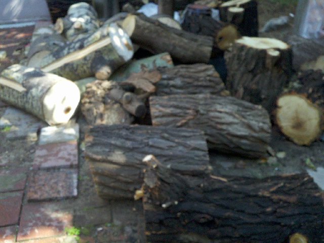 2010-10-04_12-27-40_478.jpg