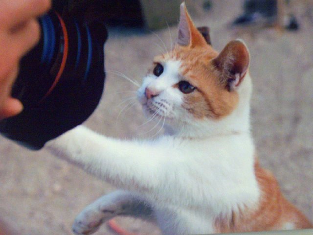 10_작품1.jpg