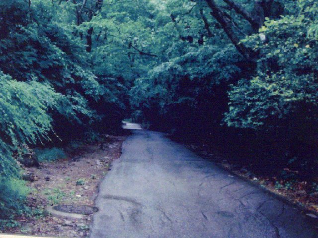 10_작품4.jpg