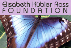 butterflyekr.jpg butterflyekr.jpg