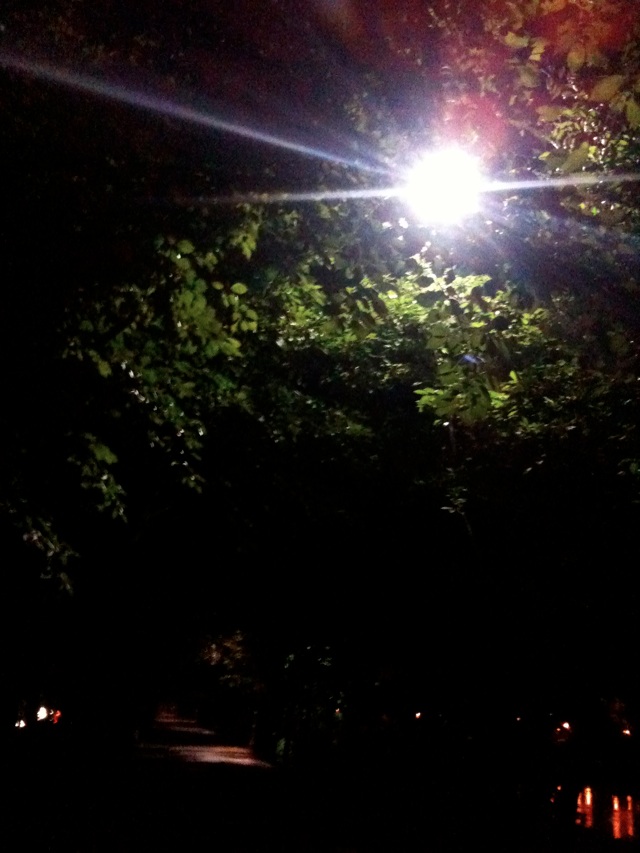 101023_03.jpg 101023_03.jpg
