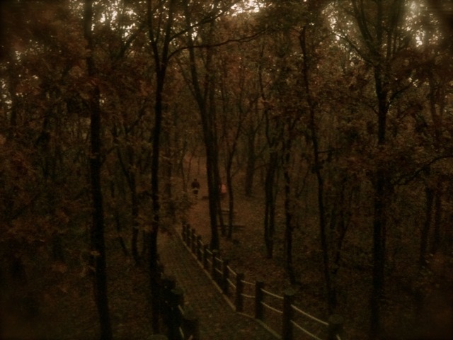 101108_01.jpg 101108_01.jpg