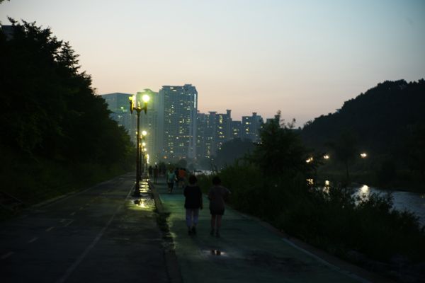 L1006323.jpg