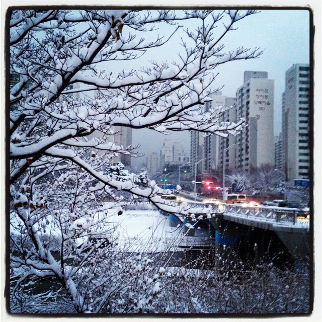 snow in july.jpg