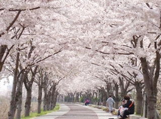 Spring.JPG