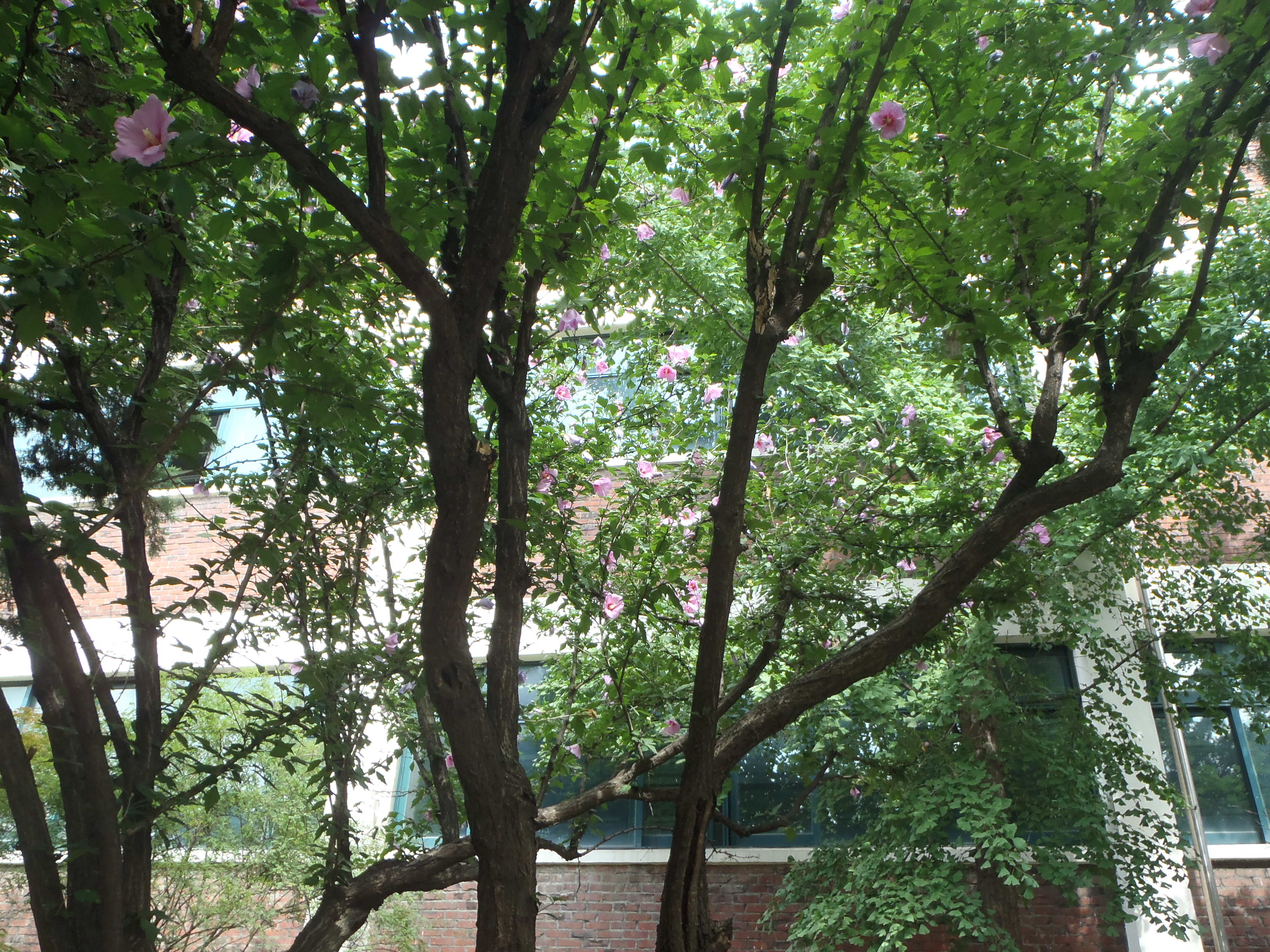 P7220111.JPG