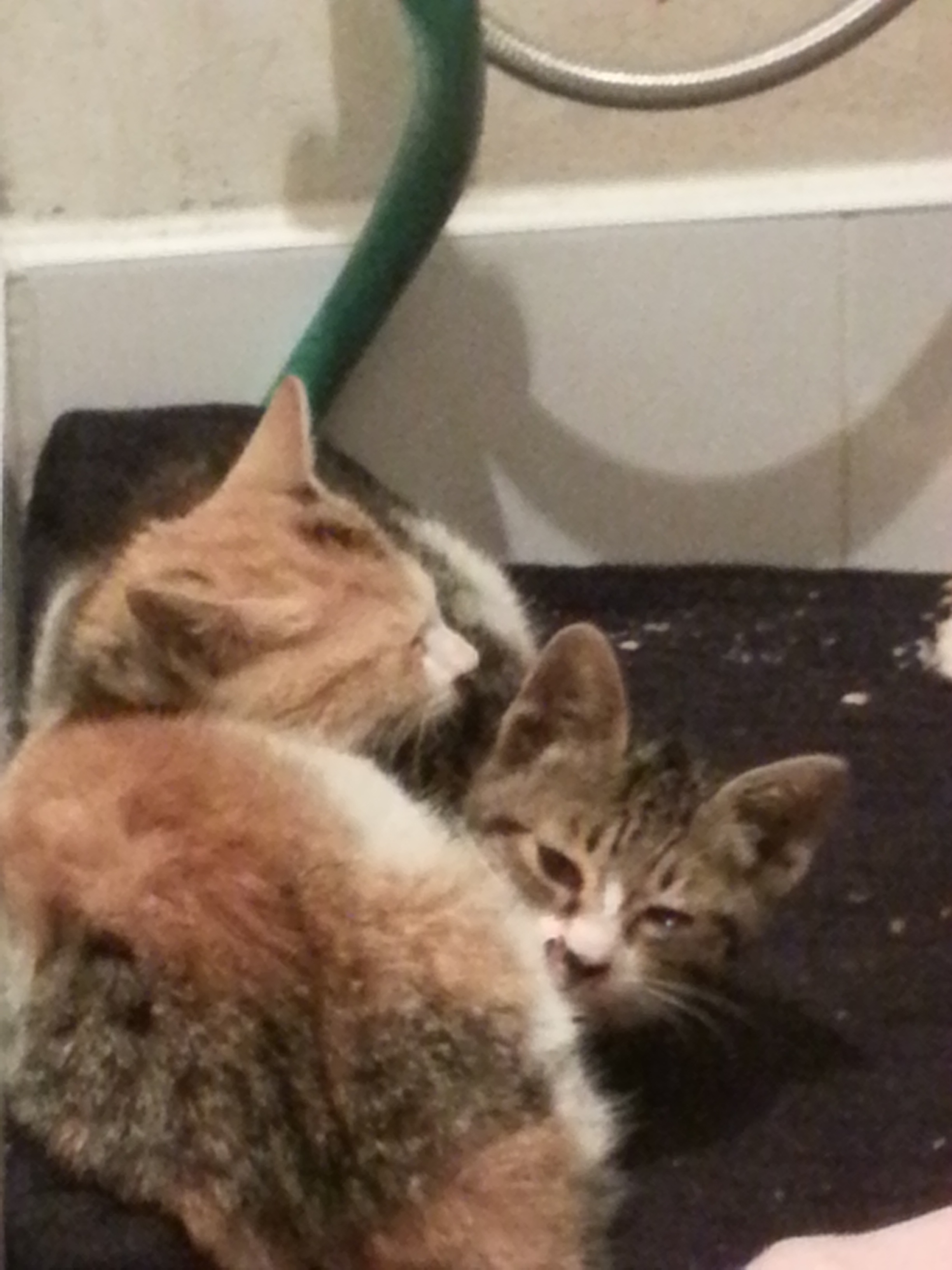 20141025_230813.jpg