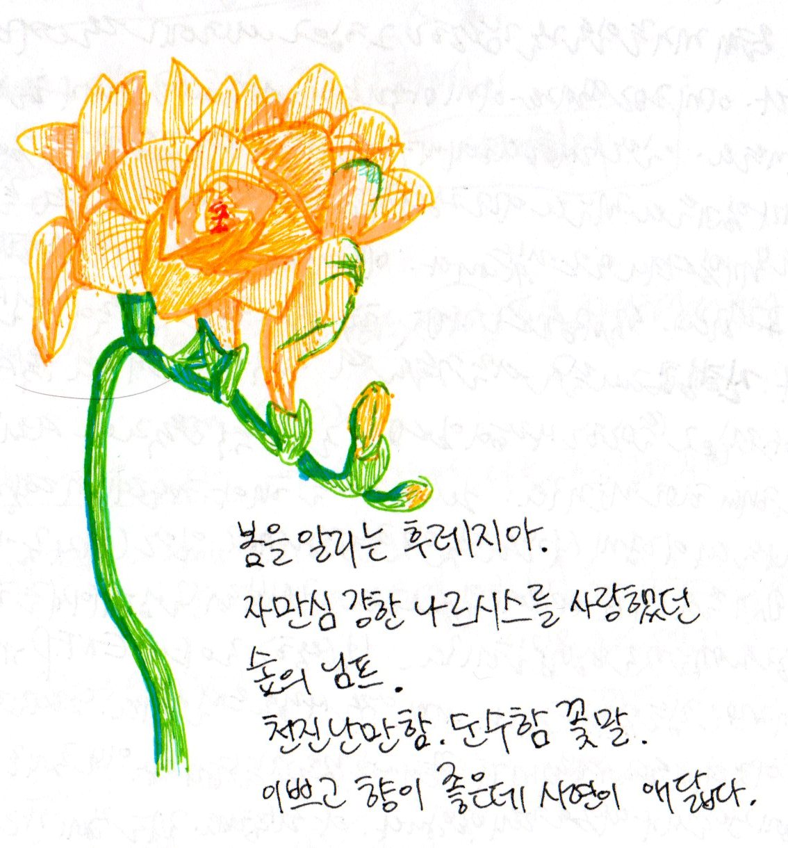 후레지아나르시스어디가좋냐034.jpg 후레지아나르시스어디가좋냐034.jpg